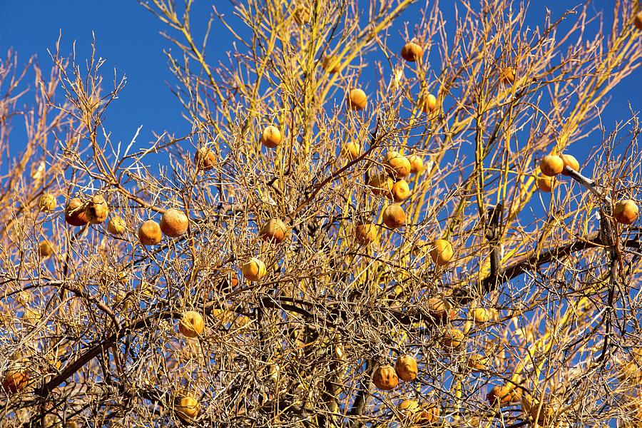 सुुन्तलाको दाउराले हात सेकाउदै कृष्कहरु