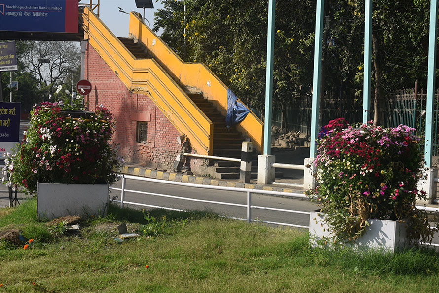 काठमाडौंका आइल्यान्डमा असफल भयो एरोपोनिक्स प्रणाली